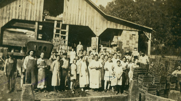 Tomato Canning Factory